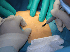 NetObjects Fusion 2015